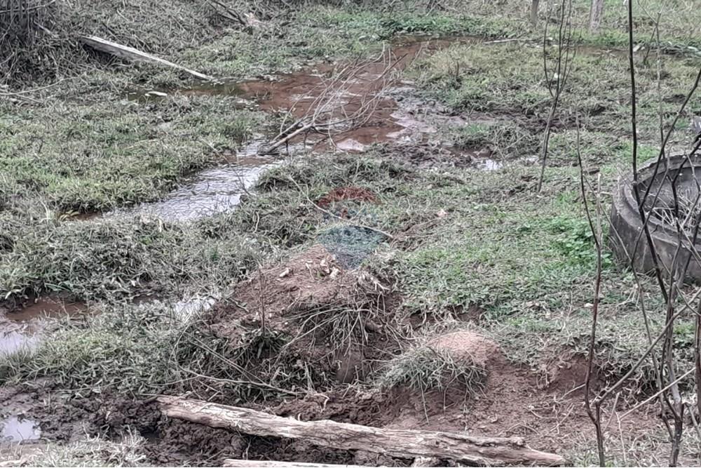 Agro - Venda - Santa Maria Madalena , Rio de Janeiro - WhatsApp Image 2025-05-29 at 13.32.43.jpeg - 630171007-50