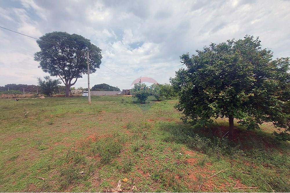 Chácara / Sítio / Fazenda - Venda - Taciba , São Paulo - Chacara Taciba (21).jpg - 630861066-19