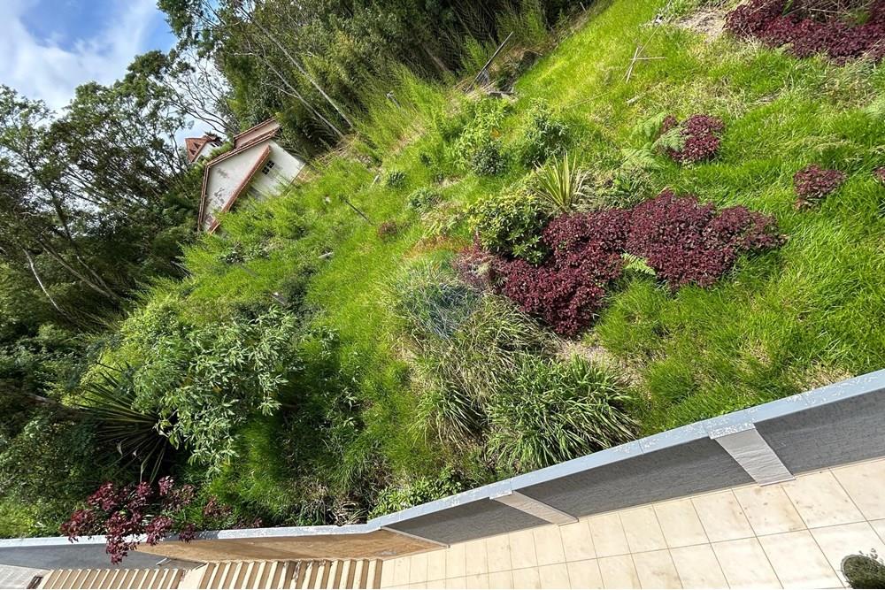 Terreno - Venda - Nova Friburgo , Rio de Janeiro - WhatsApp Image 2026-01-02 at 12.55.59 (1).jpeg - 630551055-124