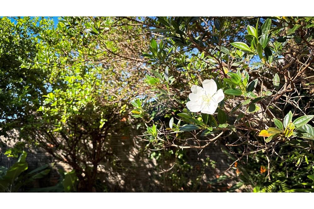 Casa - Venda - Botucatu , São Paulo - 30-DJI_20250408_091140_216.jpg - 630111014-73