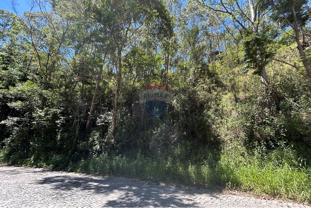 Terreno - Venda - Nova Friburgo , Rio de Janeiro - IMG_6804.JPG - 630551084-36