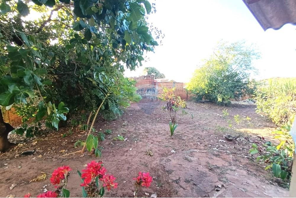 Casa - Venda - Andradina , São Paulo - Quintal.jpg - 631201011-93