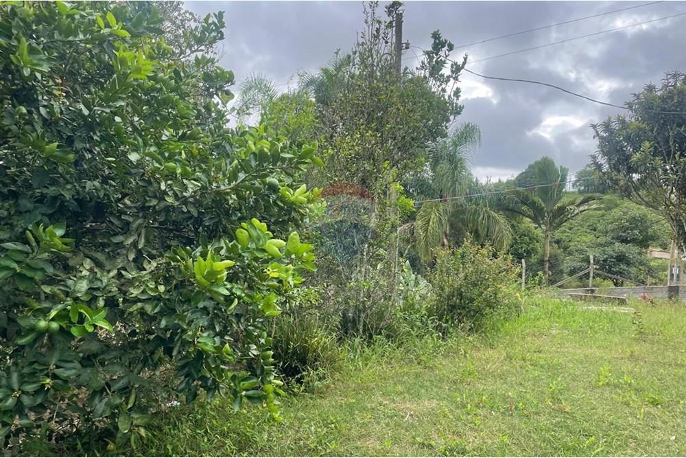 Chácara à venda com 2 quartos, 15340m² - Foto 17