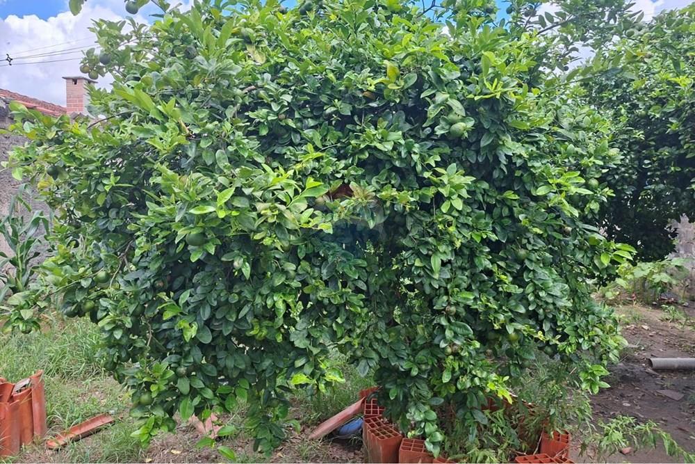 Terreno - Venda - Salto de Pirapora , São Paulo - WhatsApp Image 2026-02-06 at 21.27.34 (3).jpeg - 631181065-7