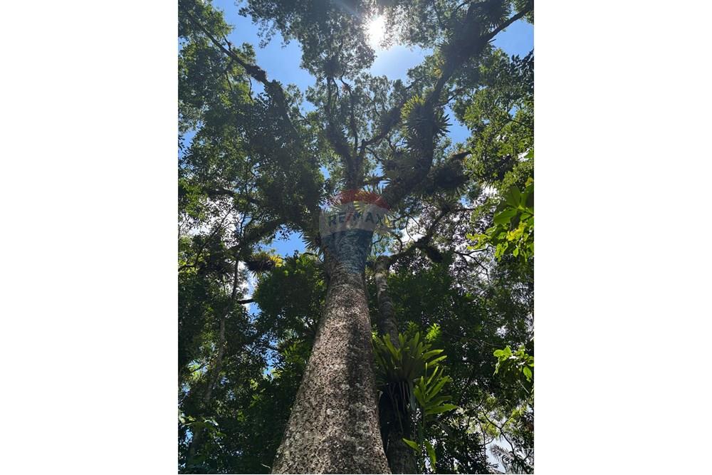 Chácara / Sítio / Fazenda - Venda - Macaé , Rio de Janeiro - 945b9691-346c-4586-a12d-5ff288bc957a.jpeg - 630361003-106