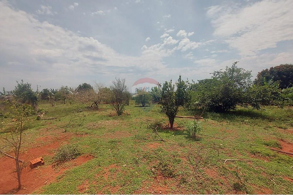 Chácara / Sítio / Fazenda - Venda - Taciba , São Paulo - Chacara Taciba (7).jpg - 630861066-19