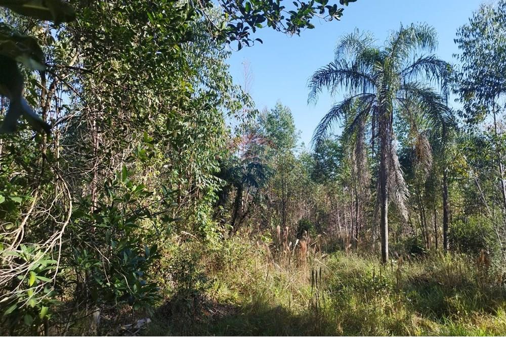 Terreno - Venda - Cabreúva , São Paulo - Terreno Maria Tereza 5.jpg - 630531013-11