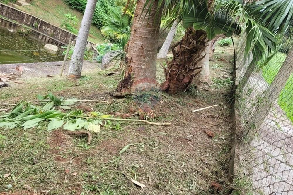 Terreno - Venda - Teresópolis , Rio de Janeiro - WhatsApp Image 2026-03-11 at 07.51.24 (1).jpeg - 630191030-40