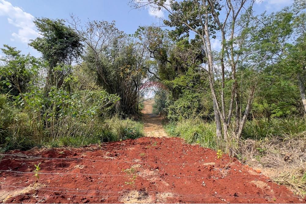 Terreno - Venda - Boituva , São Paulo - IMG_3585_DNG.jpg - 630601137-111