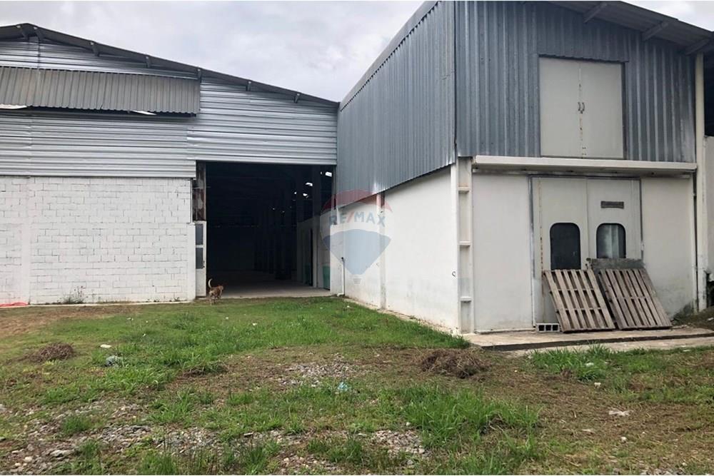 Galpão - Alugar - Ribeirão Pires , São Paulo - WhatsApp Image 2025-04-14 at 10.39.25.jpeg - 630751057-26