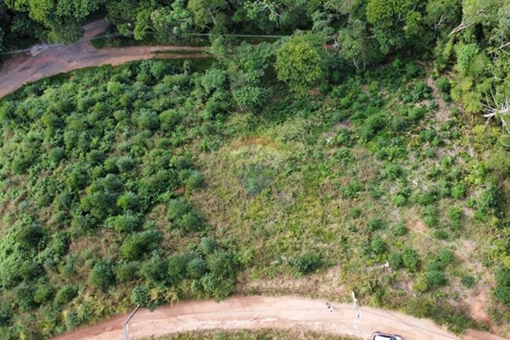 Terreno - Venda - Nova Friburgo , Rio de Janeiro - dji_fly_20250606_095716_177_1749220225954_photo_optimized.JPG - 630551037-30