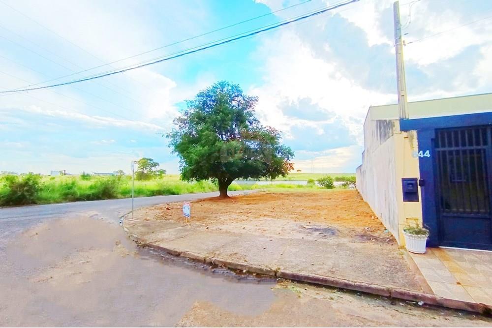 Terreno - Venda - Penápolis , São Paulo - WhatsApp Image 2025-03-15 at 10.21.41.jpeg - 631191013-102