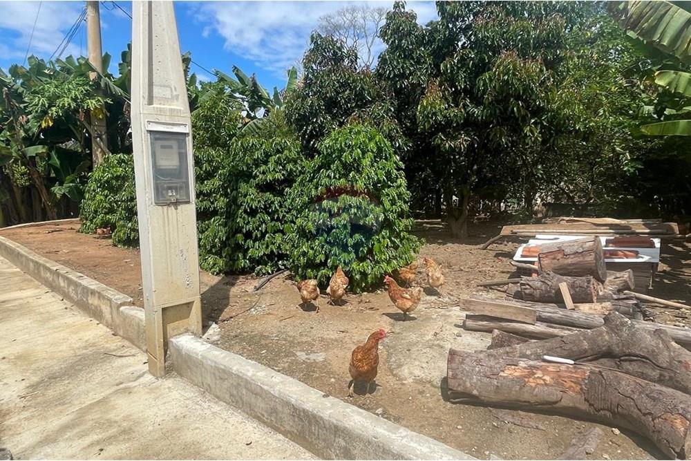 Chácara à venda com 3 quartos, 200m² - Foto 38