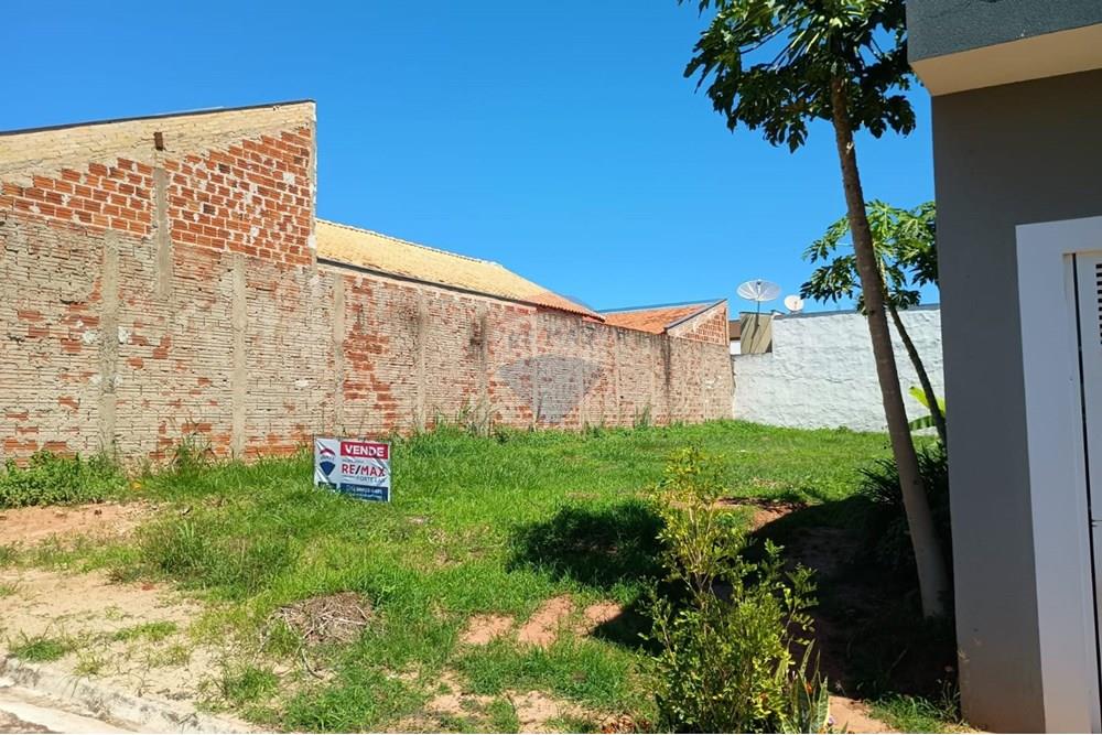 Terreno - Venda - Promissão , São Paulo - Imagem do WhatsApp de 2025-11-10 à(s) 14.35.33_095e51c0.jpg - 631441020-91