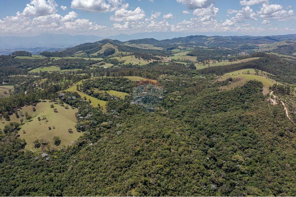 Chácara / Sítio / Fazenda - Venda - Guaratinguetá , São Paulo - FazendaITAJIBA-22.jpg - 630961014-63