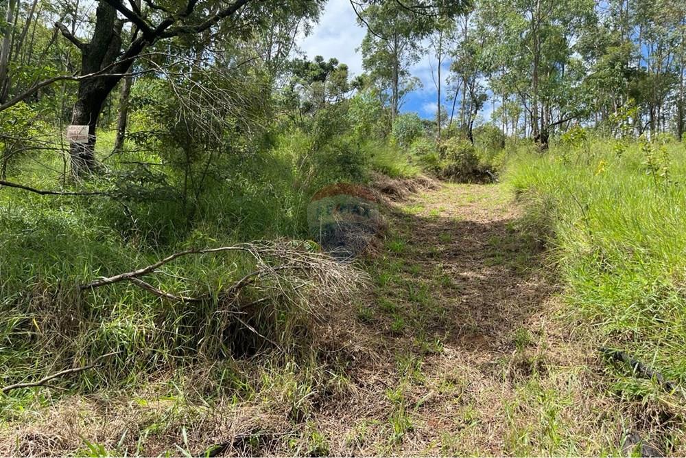 Terreno - Venda - Mairiporã , São Paulo - WhatsApp Image 2026-02-09 at 16.34.39 (1).jpeg - 631361077-14