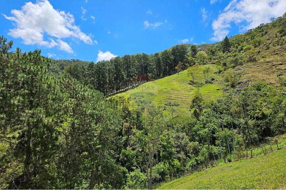 Terreno - Venda - Nova Friburgo , Rio de Janeiro - 20251111_104113.jpg - 630551024-83