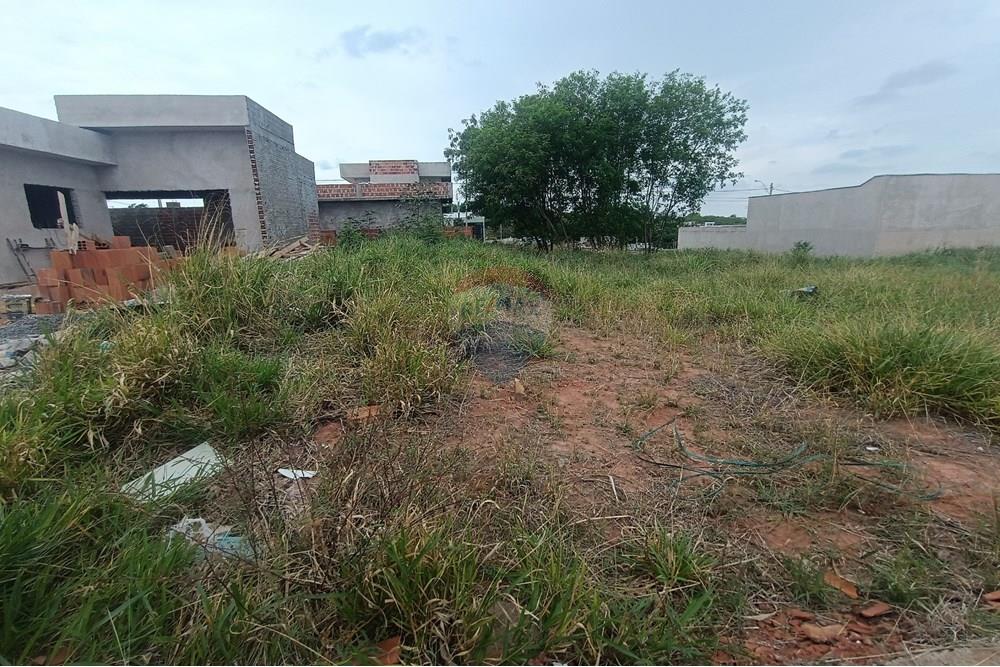 Terreno - Venda - Presidente Prudente , São Paulo - IMG_20251028_120144.jpg - 630861066-13