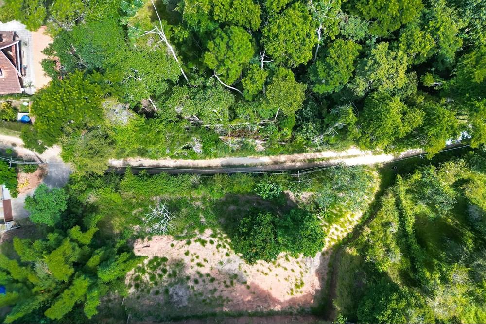 Terreno - Venda - Teresópolis , Rio de Janeiro - WhatsApp Image 2025-03-19 at 22.26.43 (1).jpeg - 630191021-109