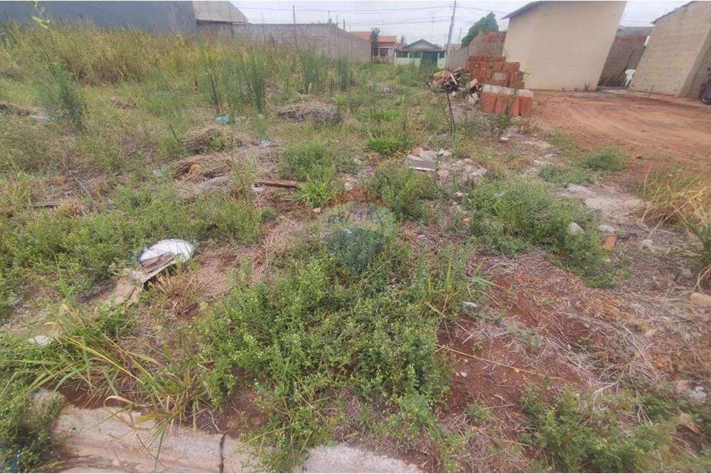 Terreno - Venda - Andradina , São Paulo - WhatsApp Image 2025-10-15 at 14.23.06 (2).jpeg - 631201044-306