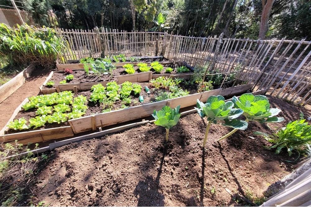 Chácara / Sítio / Fazenda - Venda - Ibiúna , São Paulo - 25.jpeg - 631331004-46