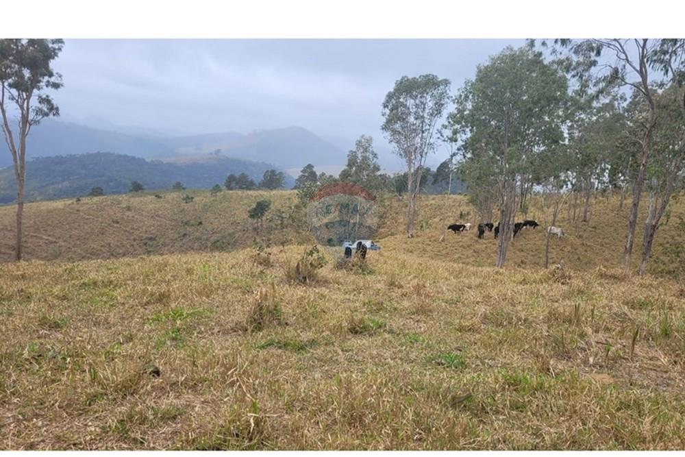 Fazenda - Venda - Teresópolis , Rio de Janeiro - IMG-20250702-WA0112.jpg - 630191078-25