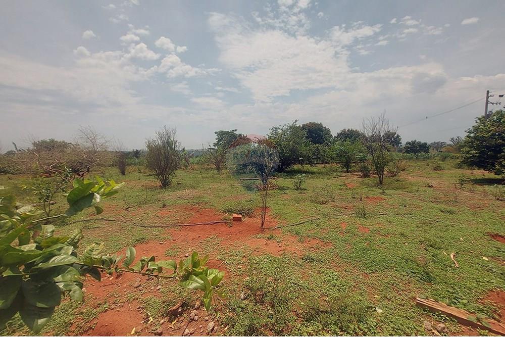 Chácara / Sítio / Fazenda - Venda - Taciba , São Paulo - Chacara Taciba (4).jpg - 630861066-19