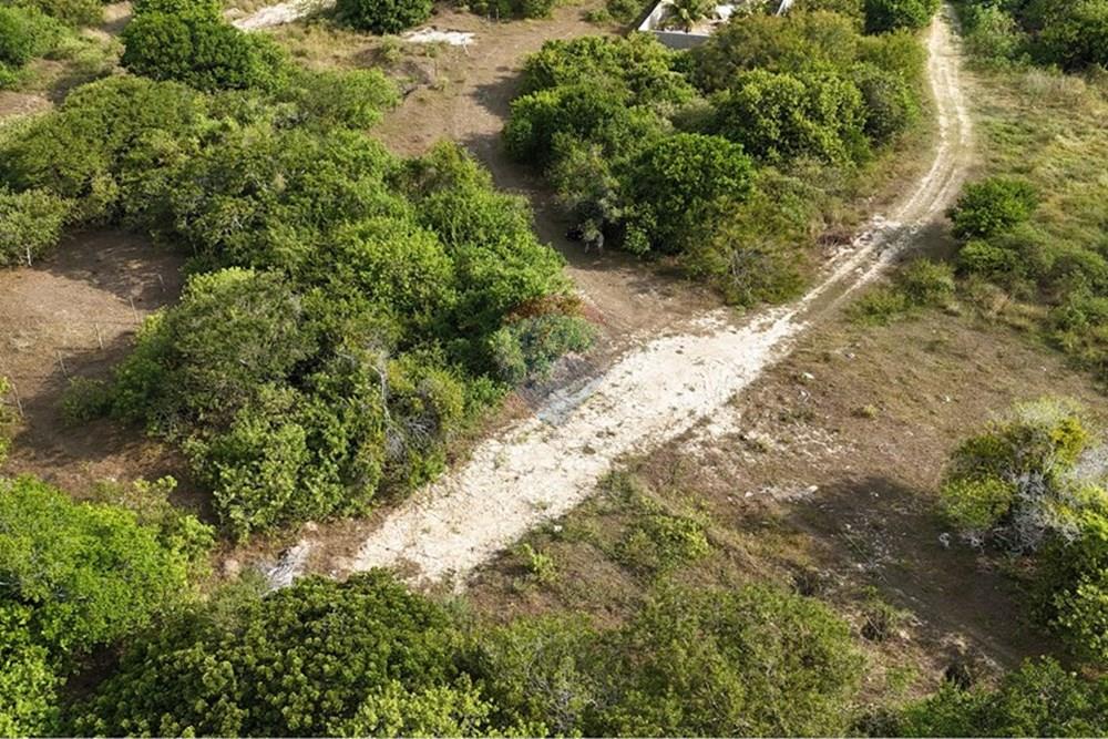 Terreno - Venda - Armação dos Búzios , Rio de Janeiro - dji_fly_20250310_154520_0019_1742265345177_photo.JPG - 630391033-21