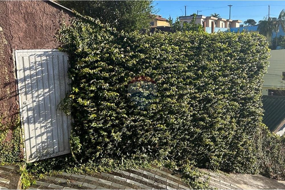 Casa - Alugar - Ribeirão Pires , São Paulo - IMG-20250729-WA0034.jpg - 631371011-70