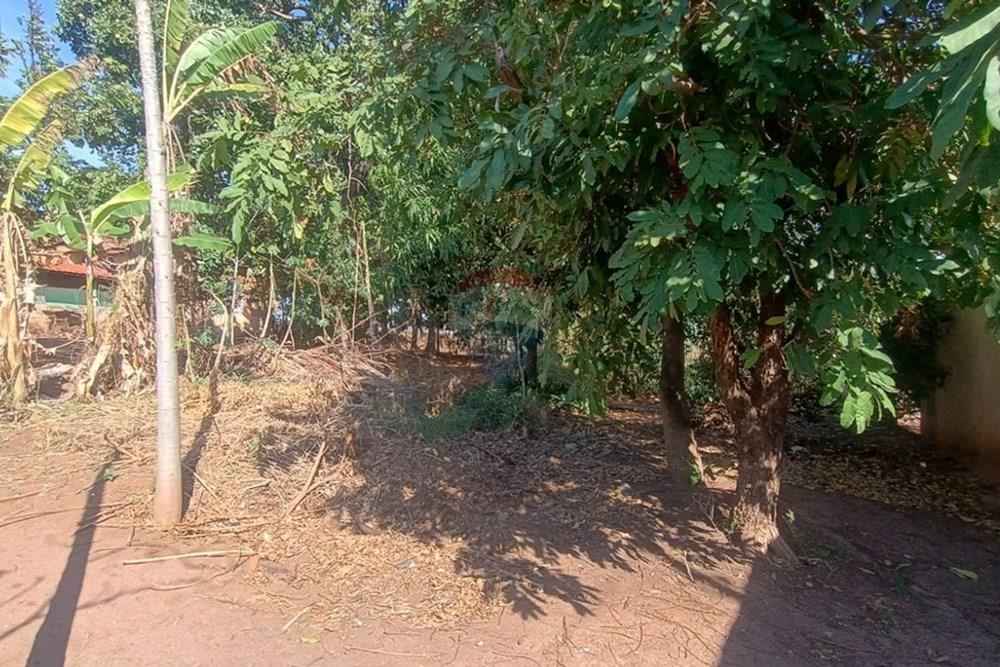 Terreno - Venda - Lins , São Paulo - lote 04.jpg - 631011048-4