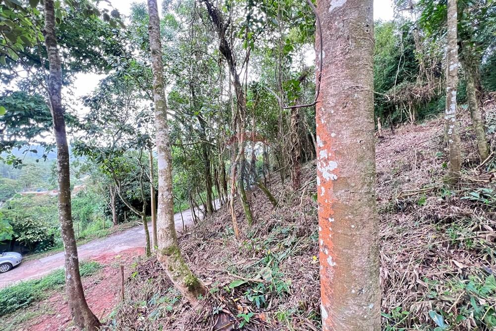 Terreno - Venda - Ribeirão Pires , São Paulo - 13.jpg - 631371054-1