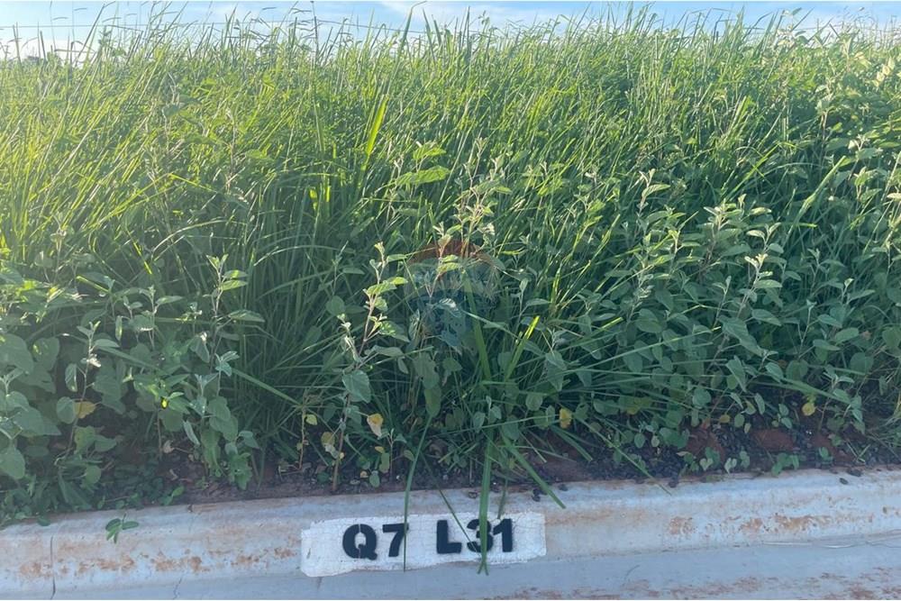 Terreno - Venda - Bady Bassitt , São Paulo - WhatsApp Image 2025-01-14 at 17.41.24 (5).jpeg - 631481002-90