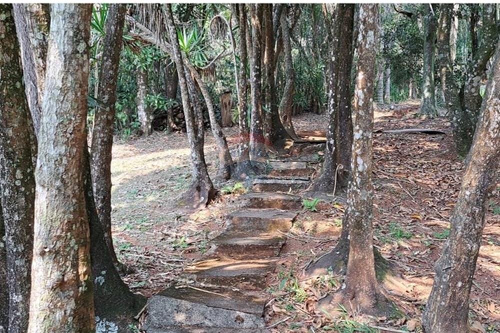 Chácara / Sítio / Fazenda - Venda - Araçariguama , São Paulo - IMG-20240913-WA0036.jpg - 631601010-7