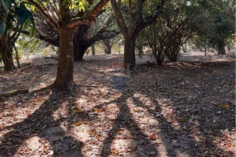 Terreno - Venda - Salto de Pirapora , São Paulo - WhatsApp Image 2025-02-24 at 09.03.56 (3).jpeg - 631181028-68