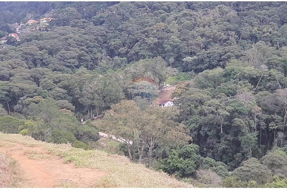 Fazenda - Venda - Teresópolis , Rio de Janeiro - 20250702_154957.jpg - 630191078-25