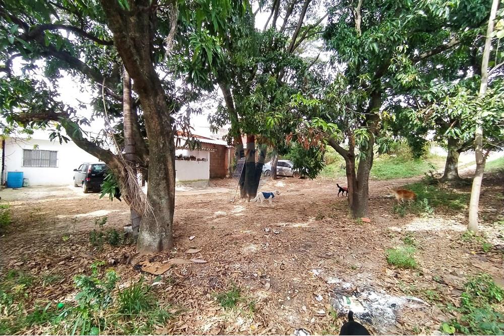 Terreno - Venda - Sorocaba , São Paulo - IMG_20250804_105111.jpg - Quintal - 630601171-20