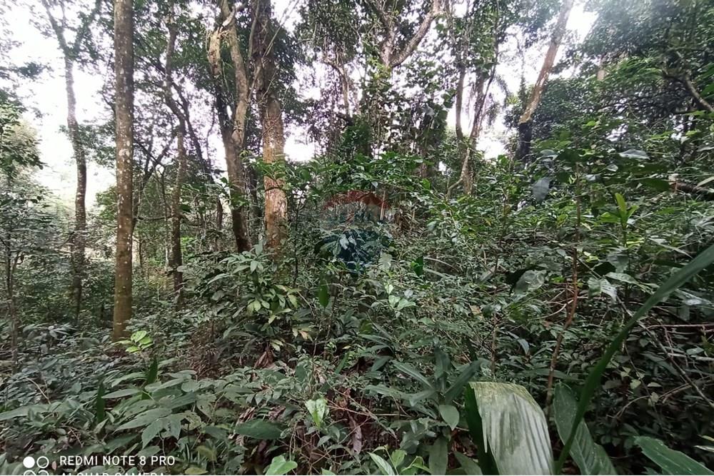 Terreno - Venda - Mairiporã , São Paulo - WhatsApp Image 2025-07-28 at 23.50.19.jpeg - 631361025-37