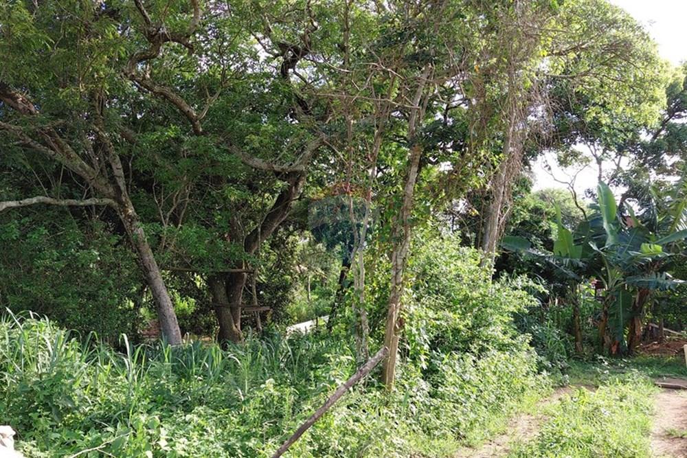 Terreno - Venda - Armação dos Búzios , Rio de Janeiro - 20260206_164005.jpg - 630391071-28