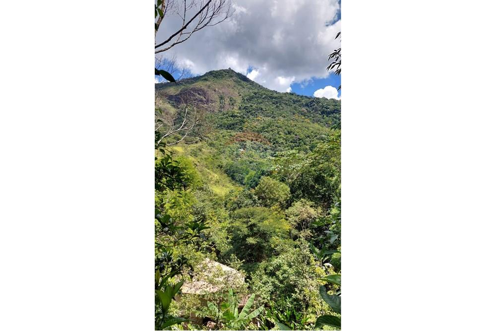 Chácara / Sítio / Fazenda - Venda - Macaé , Rio de Janeiro - 500a6ccf-c174-4cea-af6b-1b9525387547.jpeg - 630361003-106