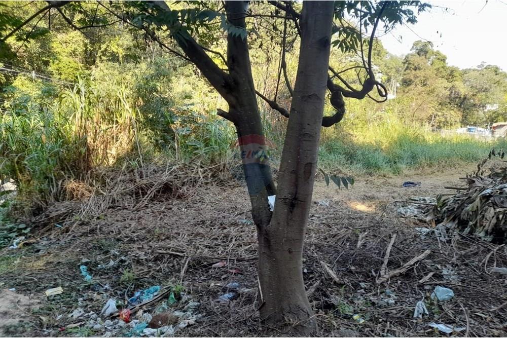 Terreno - Venda - Mairiporã , São Paulo - d788270f-b01b-4692-a619-f9f39a7fca68.jpeg - 631361059-9