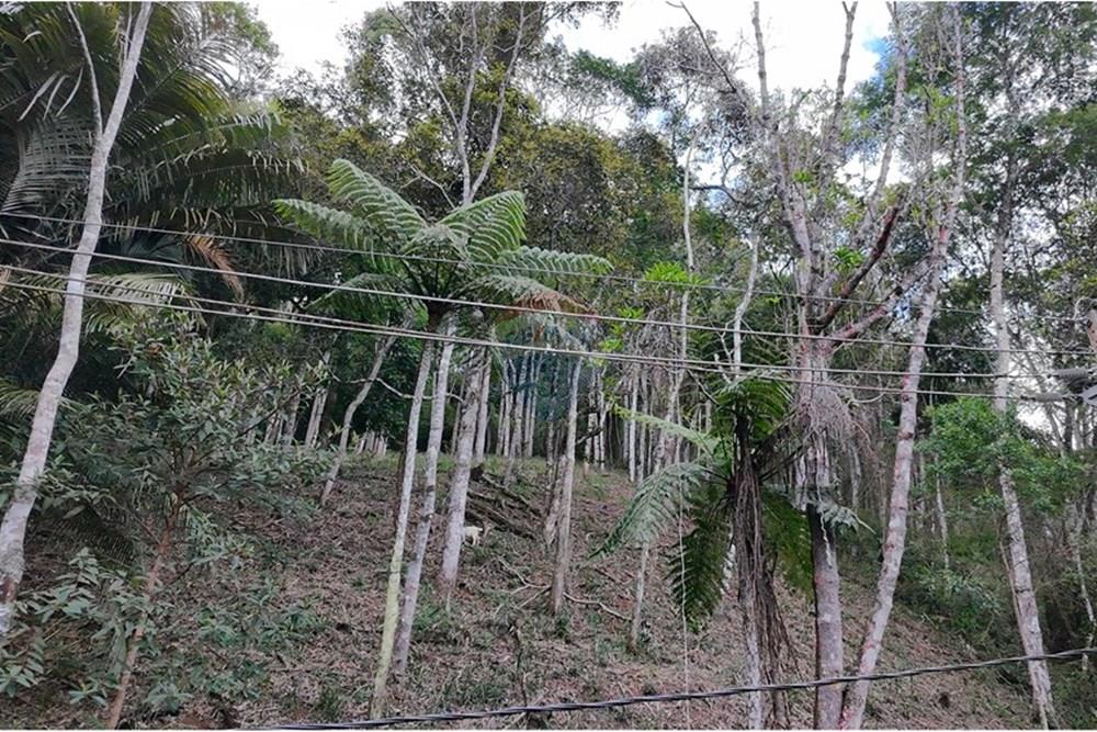 Terreno - Venda - Teresópolis , Rio de Janeiro - DJI_20251223091622_0231_D.JPG - 630191109-14