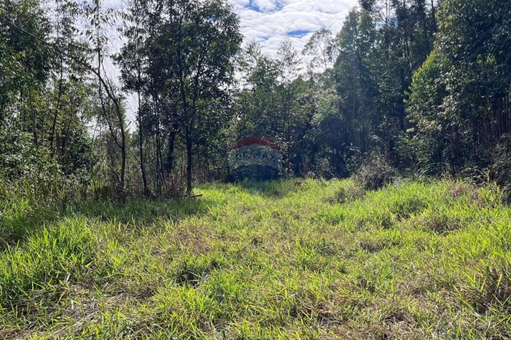 Terreno - Venda - Cabreúva , São Paulo - foto 16.jpg - 630531013-11