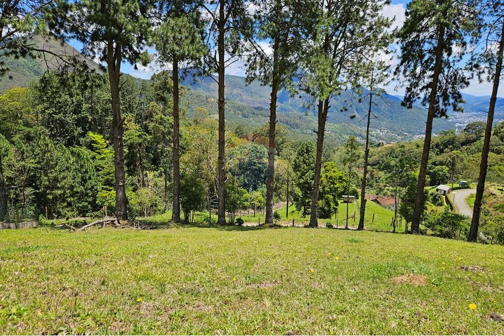 Terreno - Venda - Nova Friburgo , Rio de Janeiro - 20251111_104000.jpg - 630551024-83