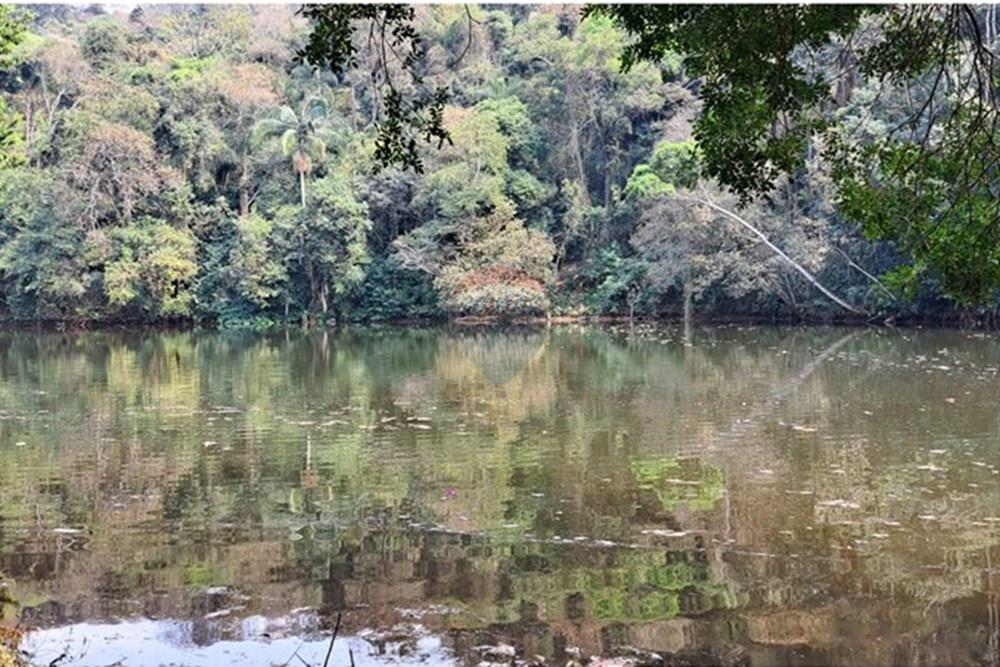 Chácara / Sítio / Fazenda - Venda - Araçariguama , São Paulo - IMG-20240913-WA0057.jpg - 631601010-7