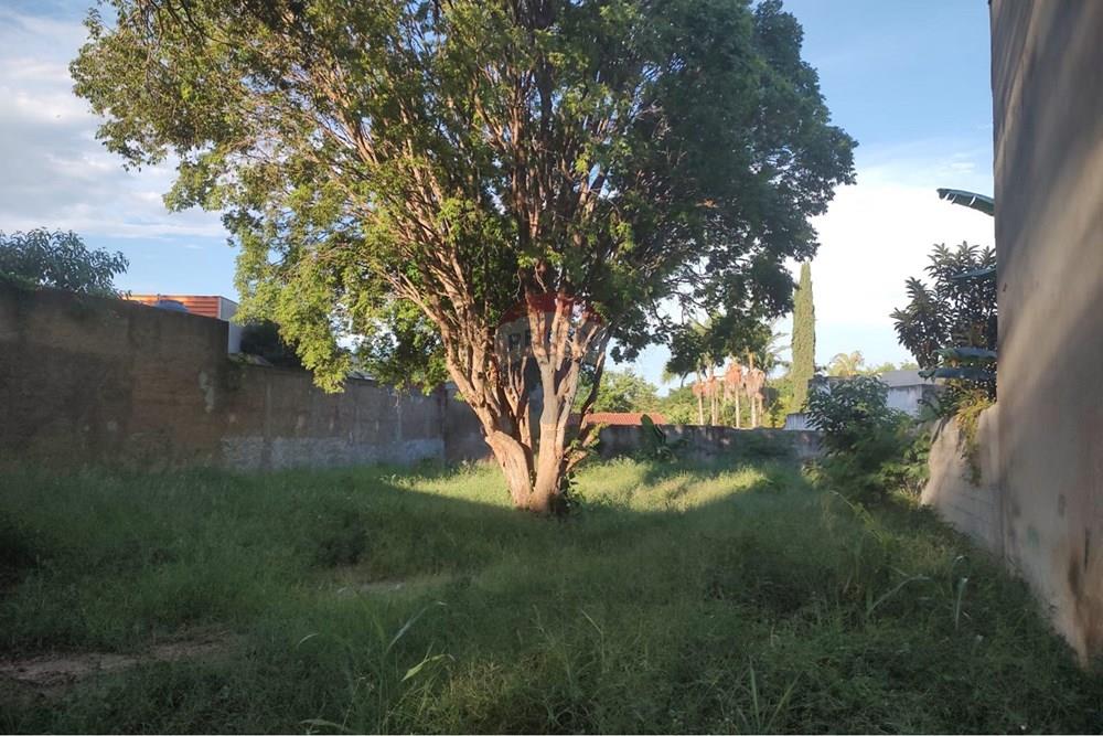 Terreno - Venda - Sorocaba , São Paulo - 22.jpeg - 630601181-6