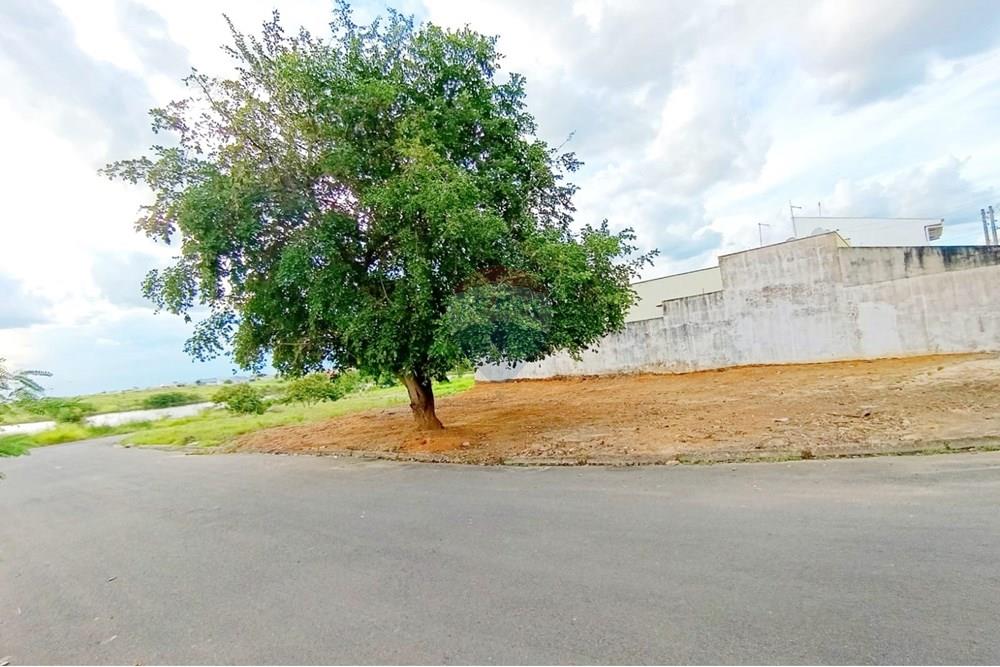 Terreno - Venda - Penápolis , São Paulo - WhatsApp Image 2025-03-15 at 10.21.44.jpeg - 631191013-102