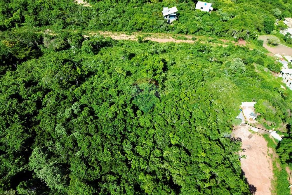 Terreno - Venda - Armação dos Búzios , Rio de Janeiro - DJI_0381.jpg - 630391022-91
