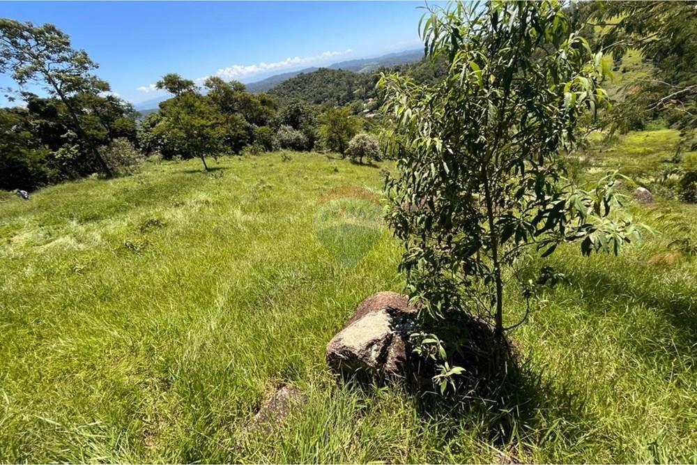 Terreno - Venda - Mogi das Cruzes , São Paulo - WhatsApp Image 2026-02-24 at 13.22.135.jpeg - 631251058-2