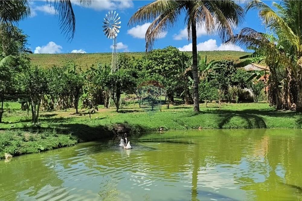 Chácara / Sítio / Fazenda - Venda - Rio Bonito , Rio de Janeiro - WhatsApp Image 2025-09-22 at 14.45.51 (1).jpeg - 631351005-11