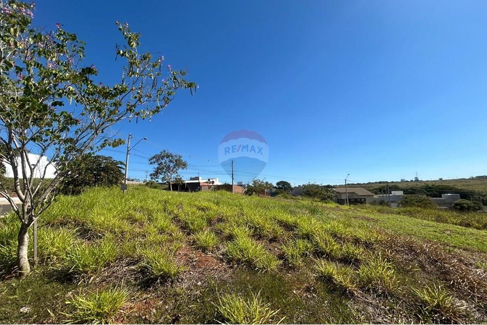 Terreno - Venda - São José do Rio Preto , São Paulo - Imagem do WhatsApp de 2025-05-30 à(s) 14.21.33_283b9b04.jpg - 631381002-92